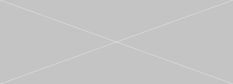 Platzhalter für Logo